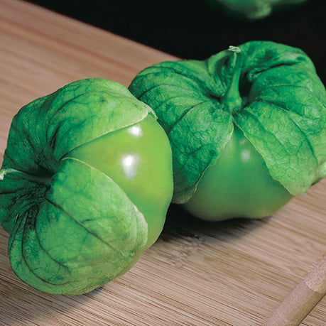 Tomatillo Super Verde Hybrid Seeds (75 Days) | T&T Seeds