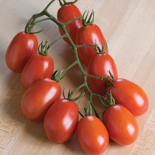 Tomato Verona Seeds 67 Days Cherry | T&T Seeds