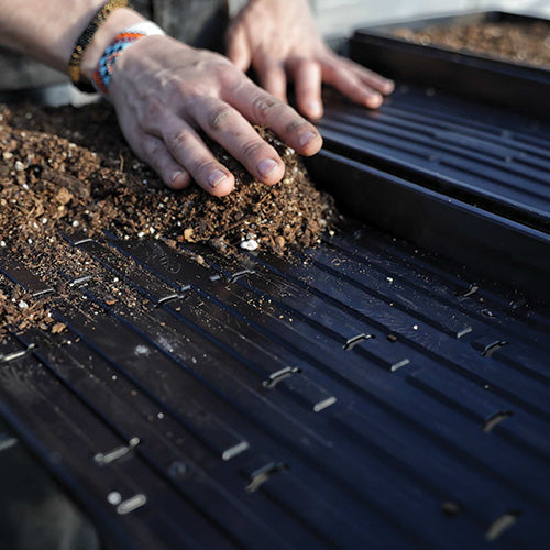 Bootstrap 10x20 Microgreens Seed Starting Tray | T&T Seeds