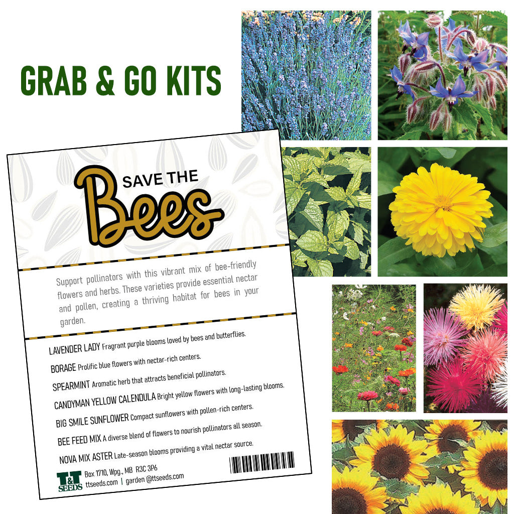 save the bees flower seeds Save Bees Flower Kit - Pollinator Garden Seeds