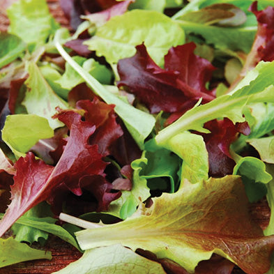 T & T's Lettuce Mix - 990A