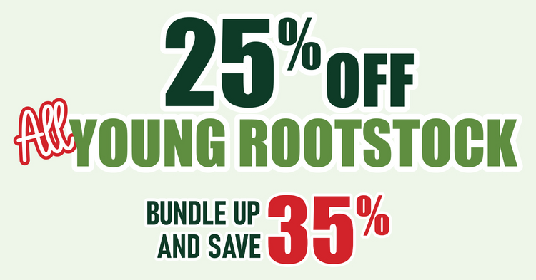 End Of Season Young Rootstock Sale