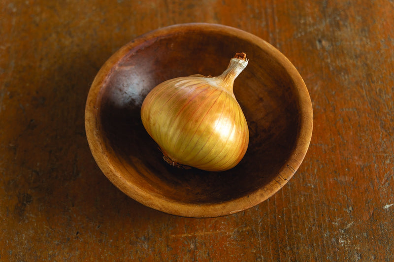 Onion Walla Walla - 1402A