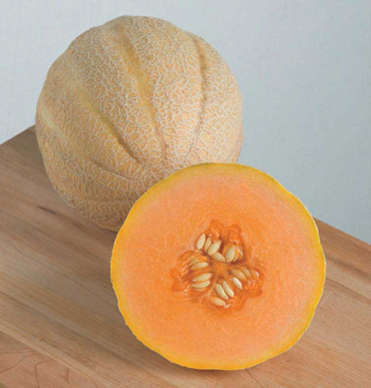 Melon Halona (73 Days) - 1201A