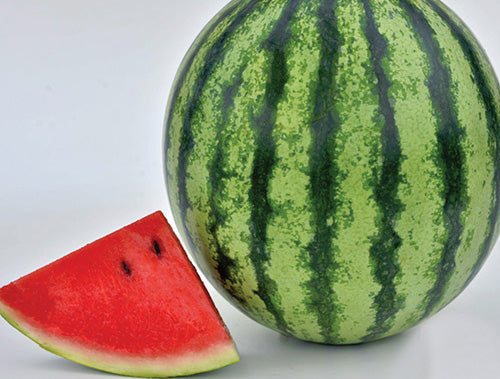 Watermelon Mambo (75 Days)