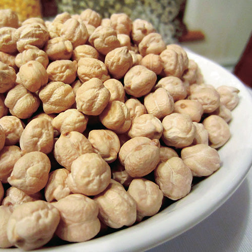 Orion Chickpeas (75 Days) - 1315A