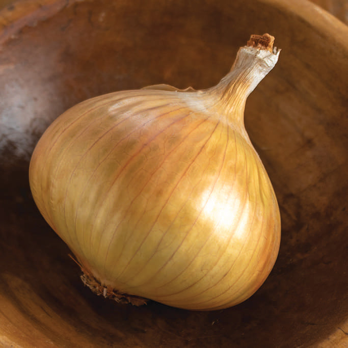 Onion Walla Walla - 1402A