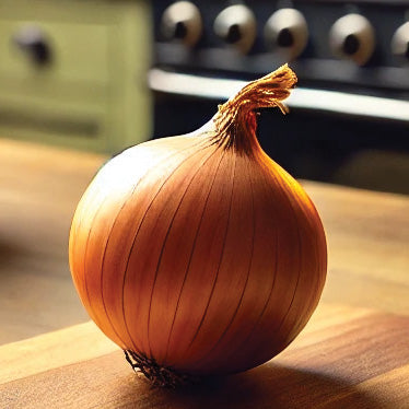 Onion Exhibition (110 Days) - 1450A