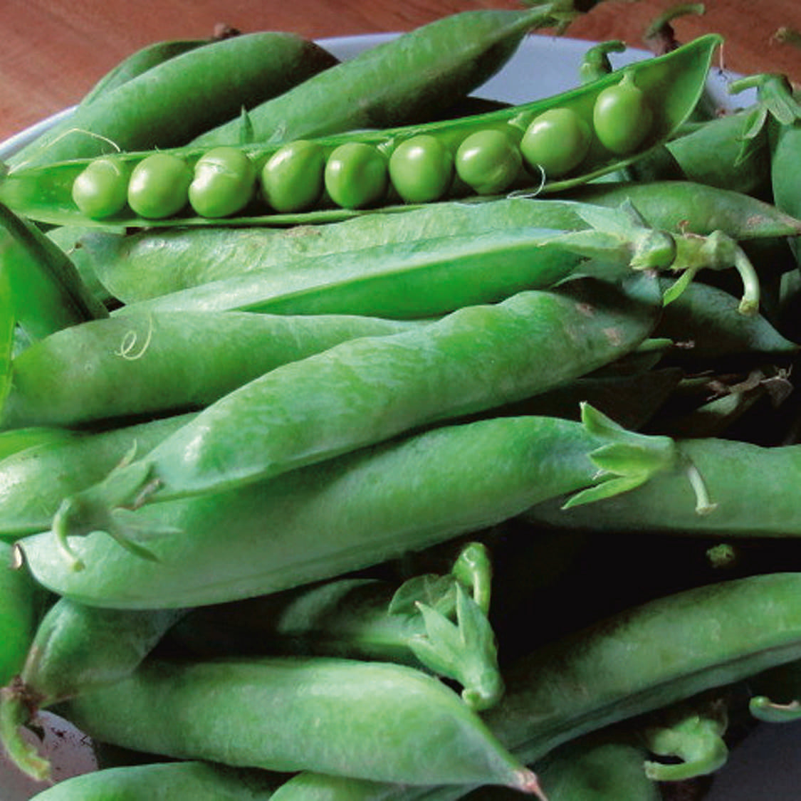 Peas Mr. Big (55 Days) - 1650A