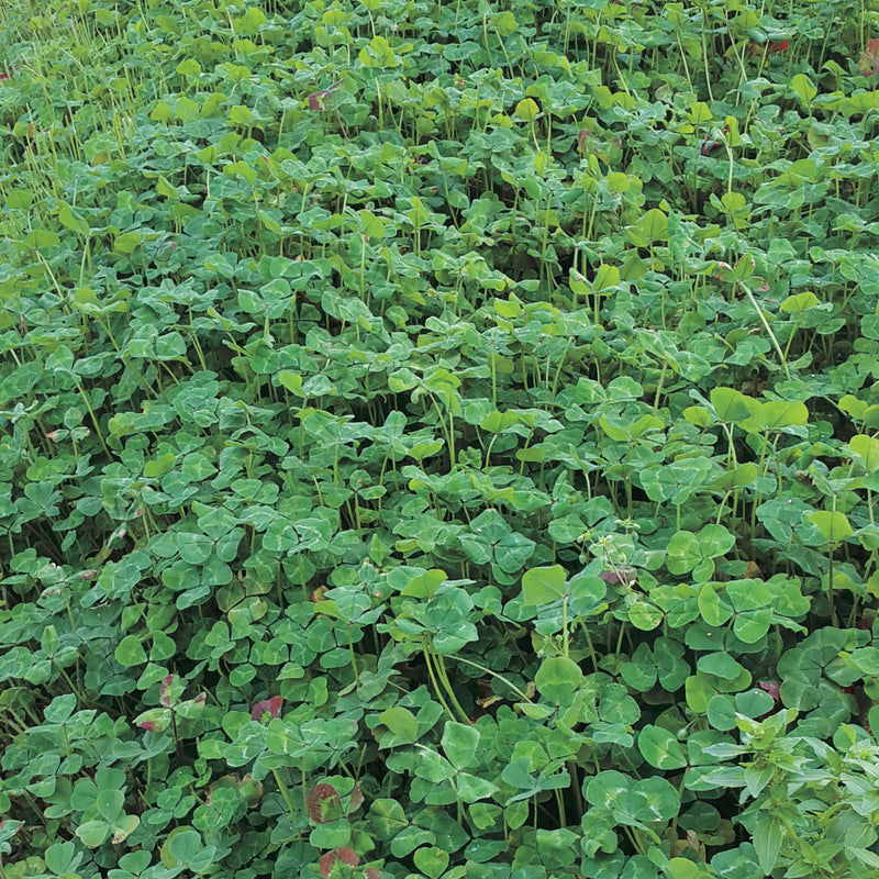 Garden Mix Crop Cover
