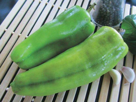 Pepper Aruba (65 Days) - 1715A