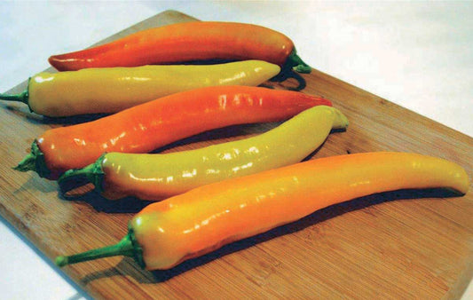 Pepper Hot Sunset Hyb (80 days) - 1752A