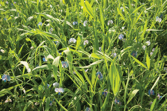 Green Manure AC Greenfix - 180A