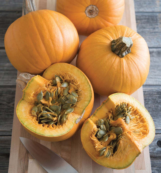 Pumpkin Naked Bear (105 Days) - 1804A