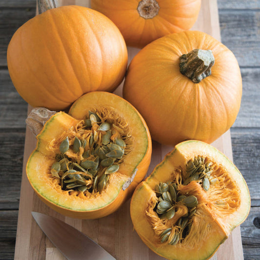 Pumpkin Naked Bear (105 Days)