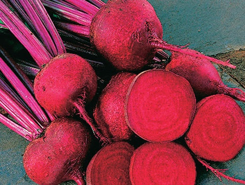 Beet Red Ace (55 Days) - 202A