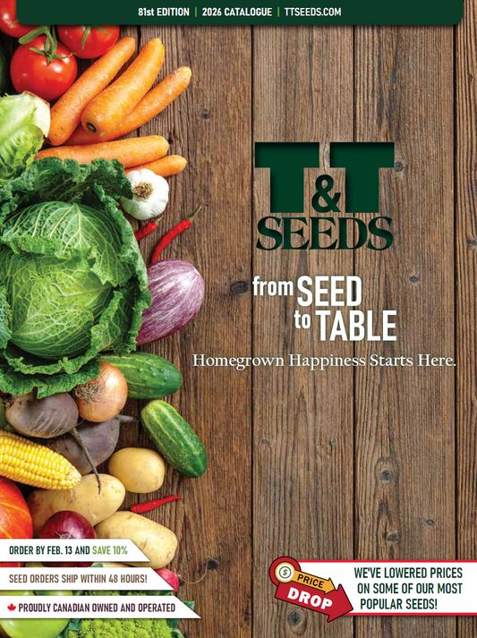 Catalogue imprimé 2026