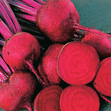 Beet Red Ace (55 Days)