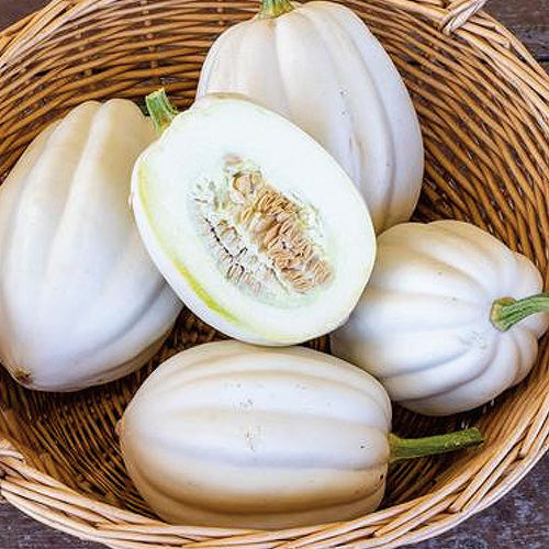 Squash Mashed Potato (90 Days)