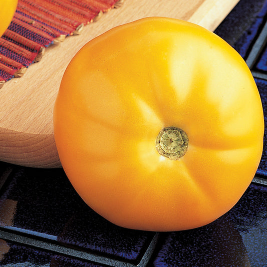 Tomato Carolina Gold (71 Days)