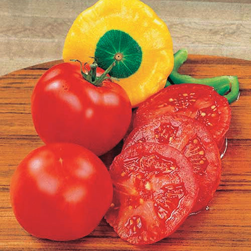 Tomato Bush Early Girl Hybrid (54 Days) - 2310A