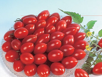 Tomato Cherry Sugary (60 Days) - 2361A