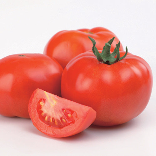 Tomato Cobra (70 Days) - 2380A