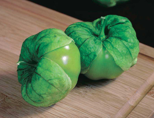 Tomatillo Super Verde Hyb (75 days) - 2389A