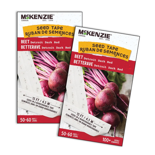 Seed Tape Beet Detroit Dark - 2600A