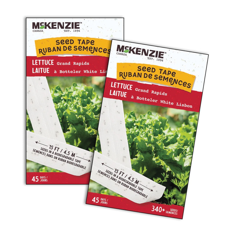 Seed Tape Leaf Lettuce Grand Rapids - 2620A