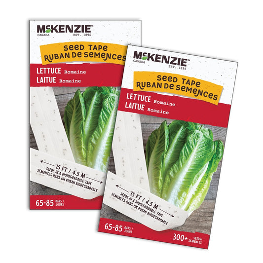 Seed Tape Romaine Lettuce - 2625A