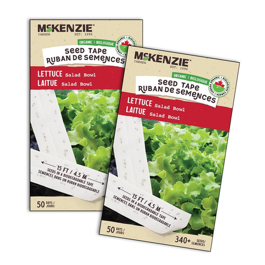 Seed Tape Organic Lettuce Salad Bowl - 2640A