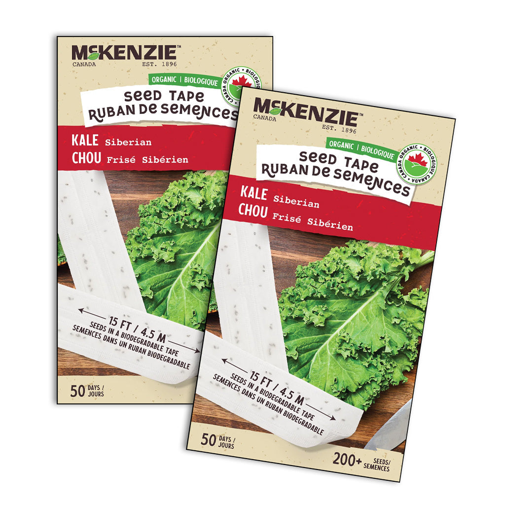 Seed Tape Organic Kale - 2645A