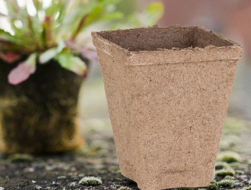 Jiffy Pots (Square) 3" - 3010A