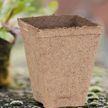 Jiffy Pots (Square) 3" - 3010A