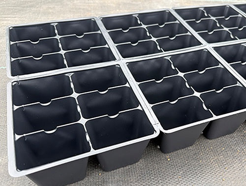 Impatien & Petunia 806 - 3019A