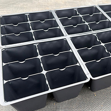 Impatien & Petunia 806