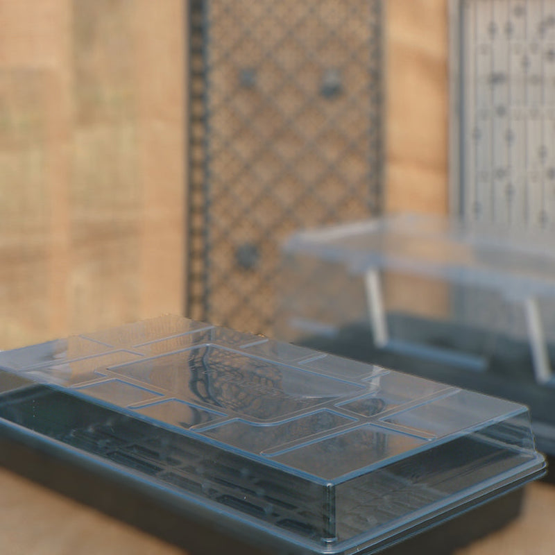 Shallow Plastic Dome - 3022A