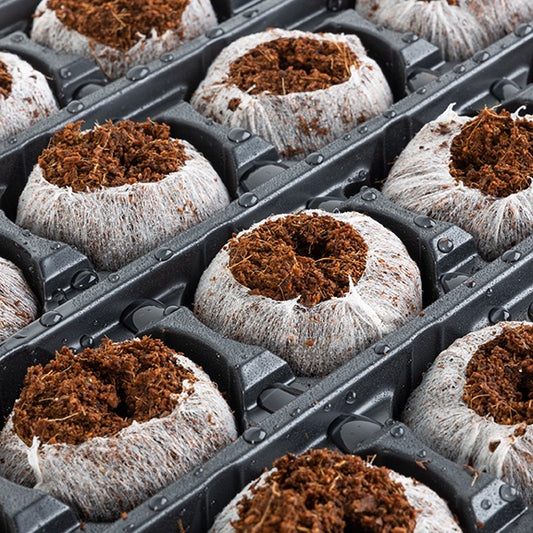 Jiffy 7 Preform Plug Trays - 3024A