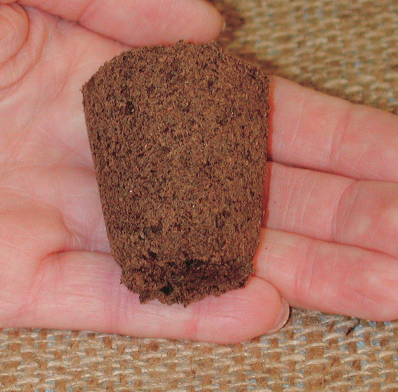 Replacement T&T Super-Plugs - 3042A