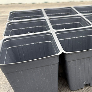Square Pots 3 1/2" Inserts - 3123A