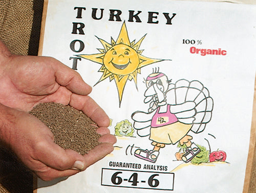 Turkey Trot - 3270A