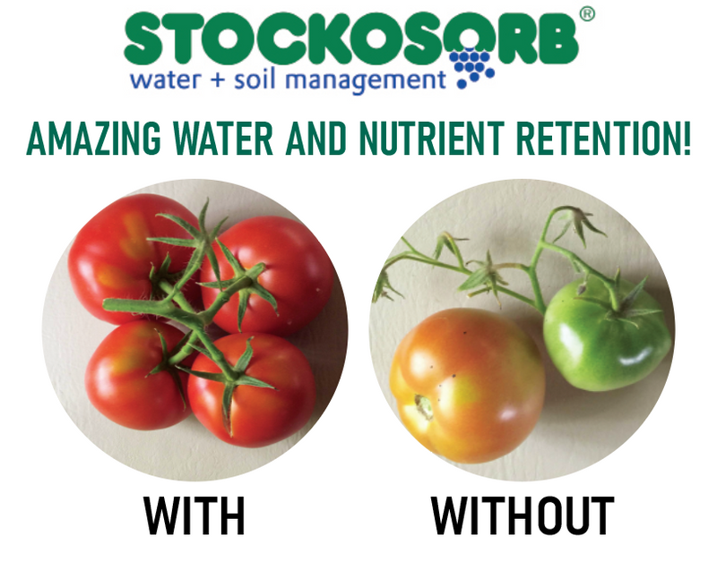 Stockosorb Medium - 3310A