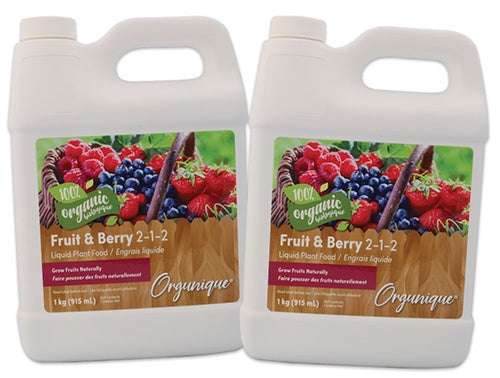 Fruit & Berry Booster - 3389A