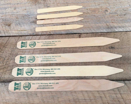 Wooden Labels For Flats 15cm x 2cm (6" x 5/8") - 3642A