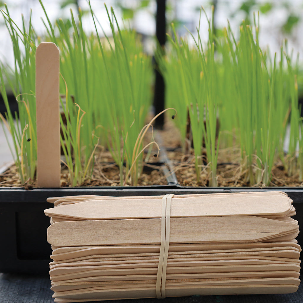Wooden Labels For Flats 15cm x 2cm (6" x 5/8") - 3642A