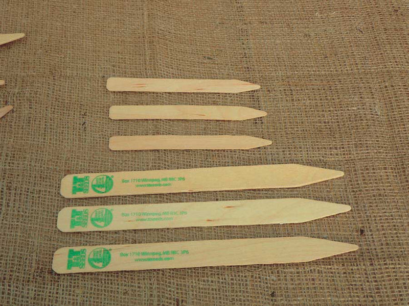 Wooden Labels For Veggies 25cm x 2cm (10"x7/8") - 3645A