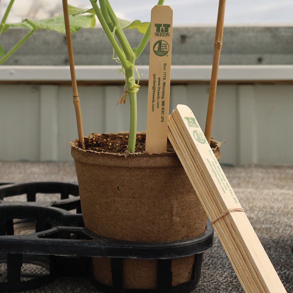 Wooden Labels For Veggies 25cm x 2cm (10"x7/8") - 3645A