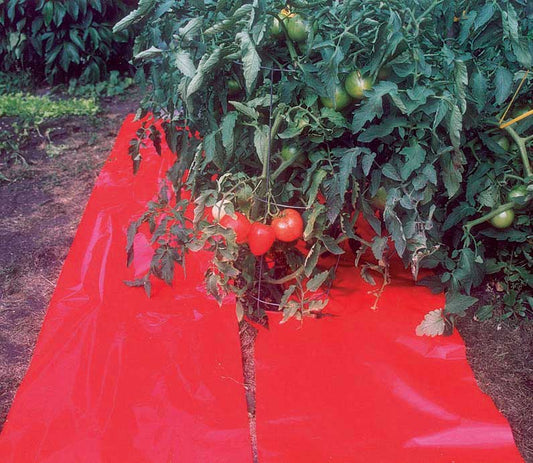 High Yield Tomato Mulch - 3810A