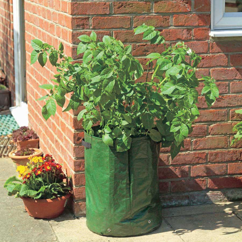 Potato Tubs pack/2 - 3825A